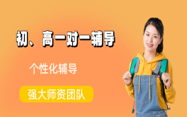尖峰初高1对1辅